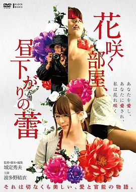 公路电影《南纬三十七度》高清免费观看